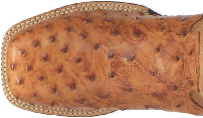 Dan Post Men's Alamosa Western Boot Genuine Ostrich Flank Leather Square Toe Cowboy Boots Zevon